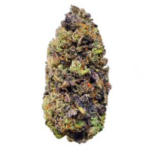 Purple Queen Weed Strain