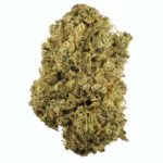 durban poison weed strain