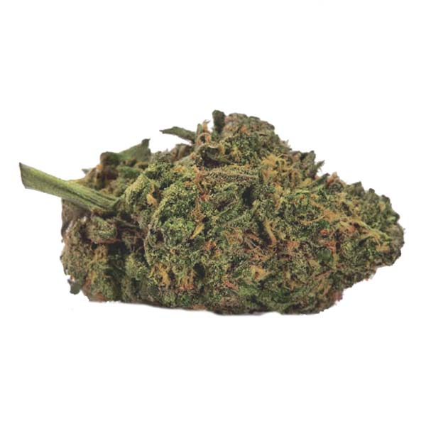 lowryder weed strain