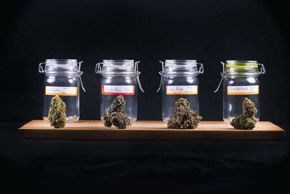 Fun Things To Do To Get High After Visiting A Dispensary in London, Ontario