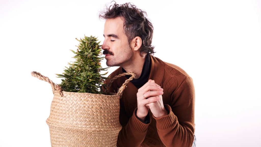 top ways to eliminate the weed smell during and after an amazing session