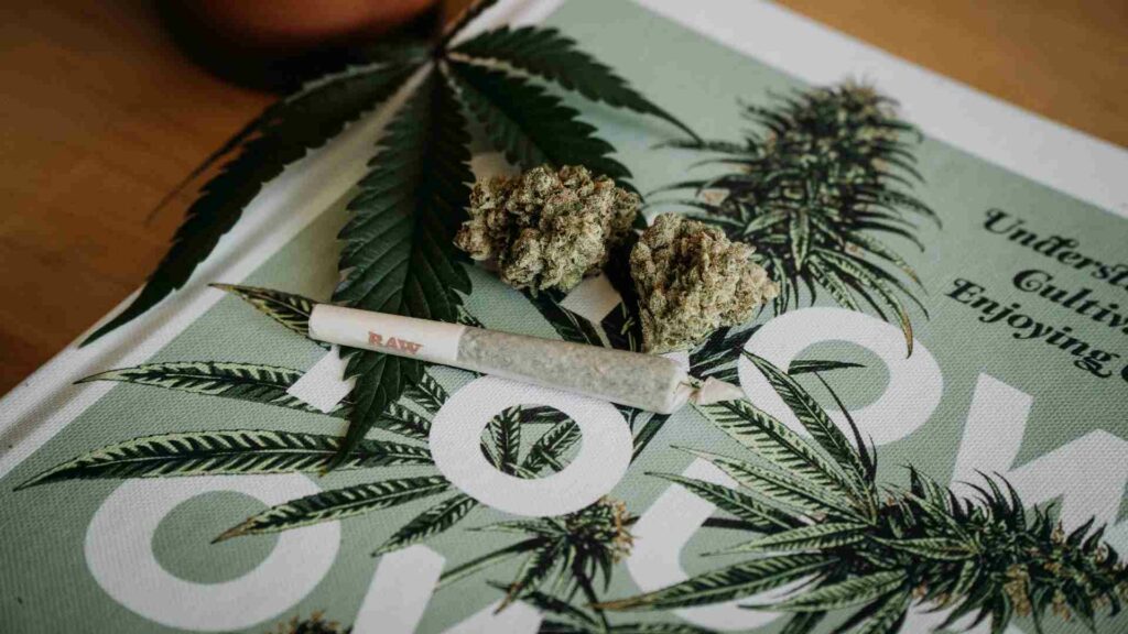 try these top shelf weed strains in london