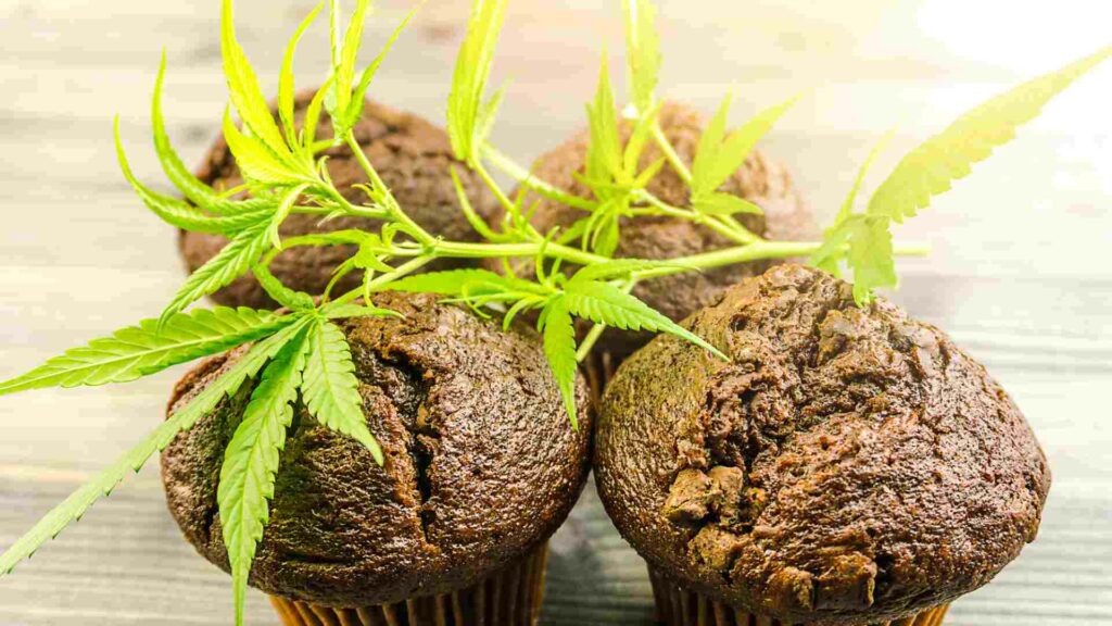 get baked and have fun creative ways to enjoy cannabis edibles