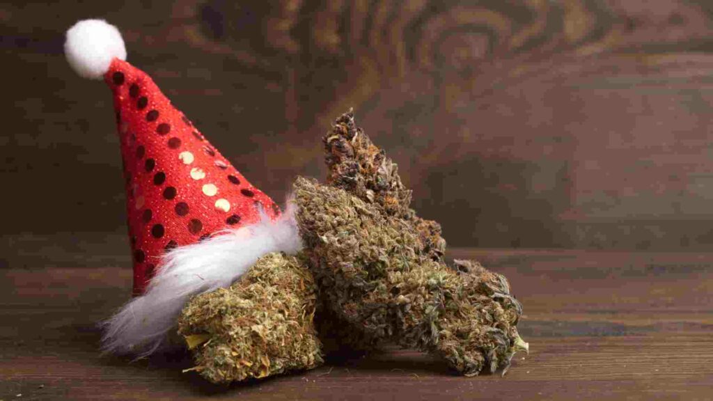 make her smile with these quirky weed gifts for women