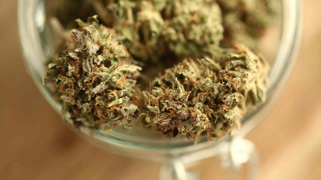from stress to success top premium weed strains to help you thrive