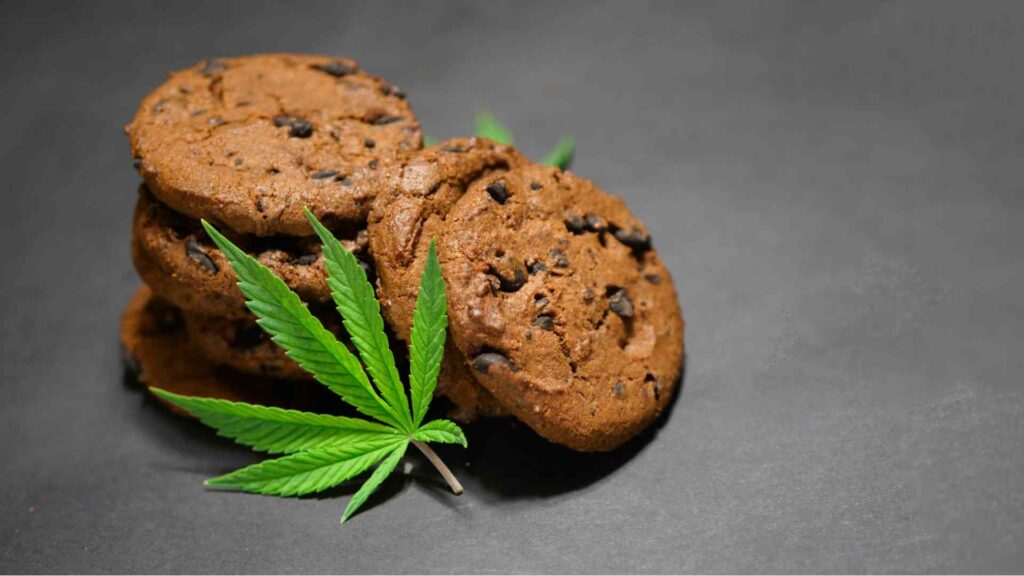 a beginners guide to trying weed edibles in woodstock dos and donts
