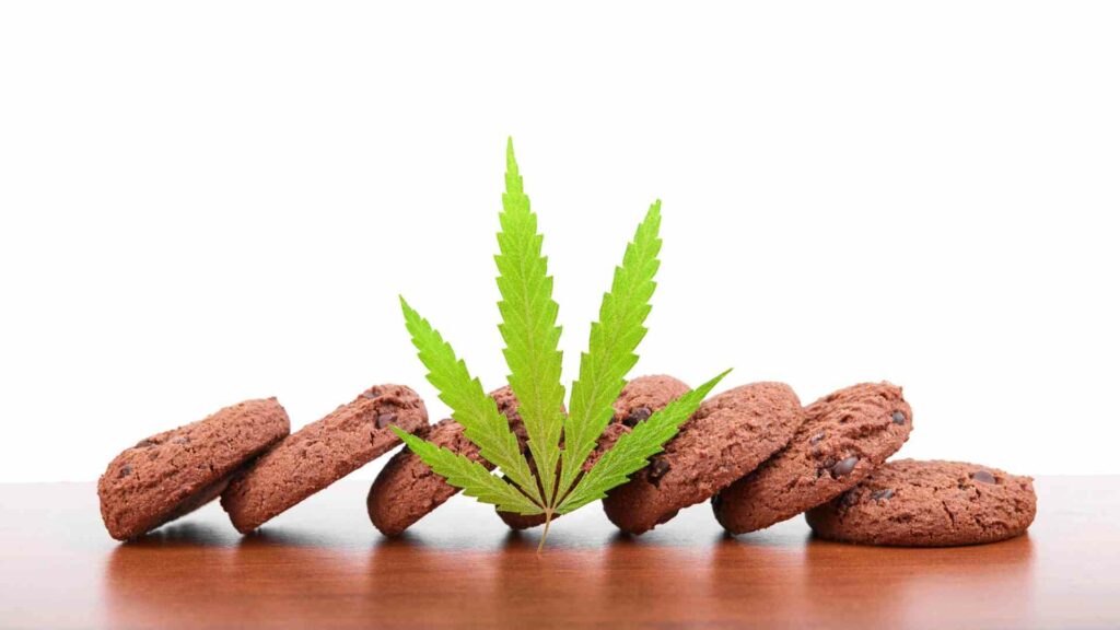 dive into the high life discovering fun with weed edibles in waterloo