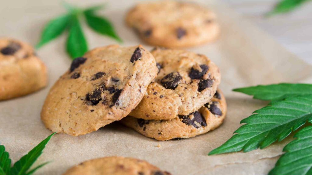 spice up your holidays in guelph how weed edibles can add a festive twist
