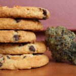 why making weed edibles is the ultimate activity for your next friends gathering in cambridge