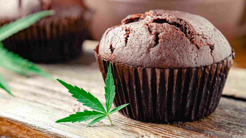 debunking the 5 myths in woodstock about weed edibles