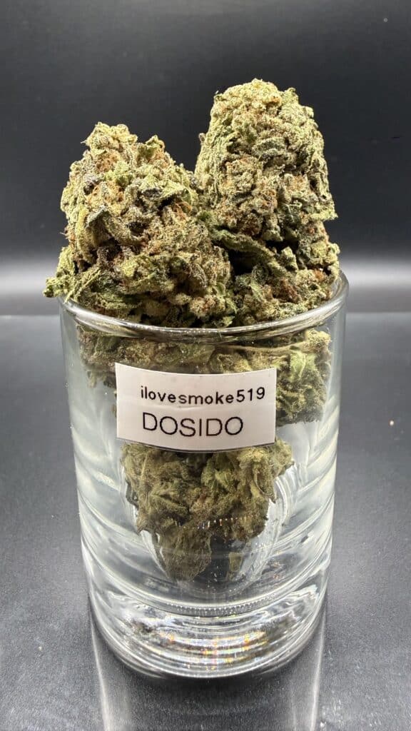 Do-Si-Dos cannabis flower buds with a hand-trimmed finish and defined structure.