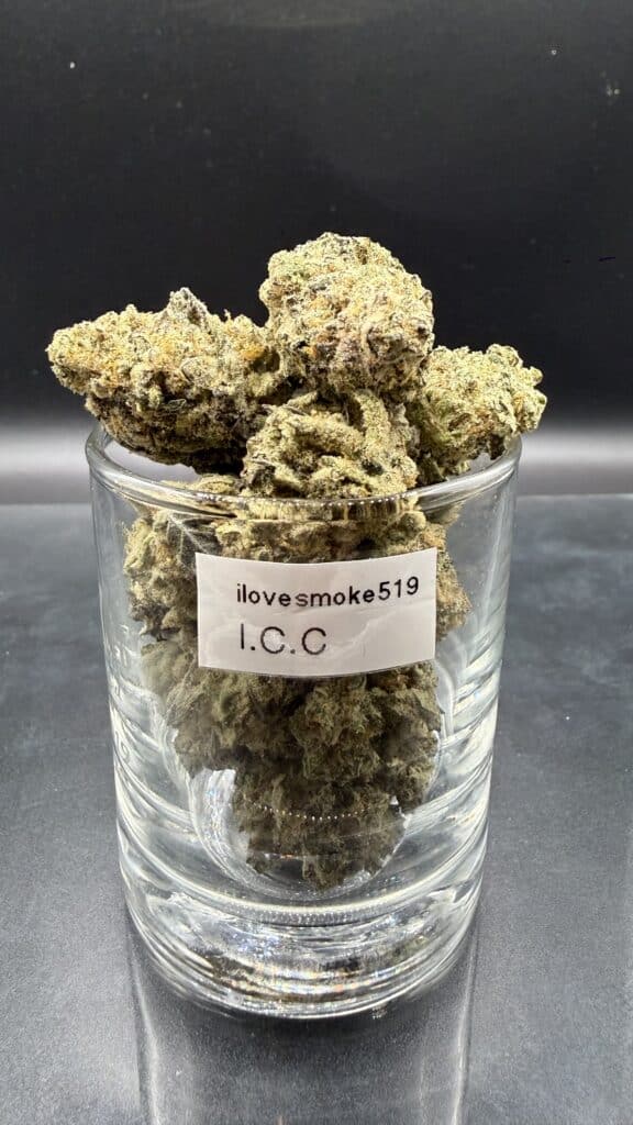 Hand-trimmed Ice Cream Cake cannabis flower buds with a natural structure and visible detail.