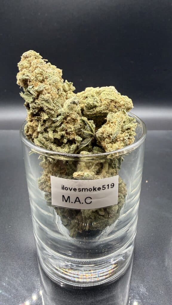 MIracle Alien Cookies cannabis flower buds displayed with a hand-trimmed finish and natural structure.