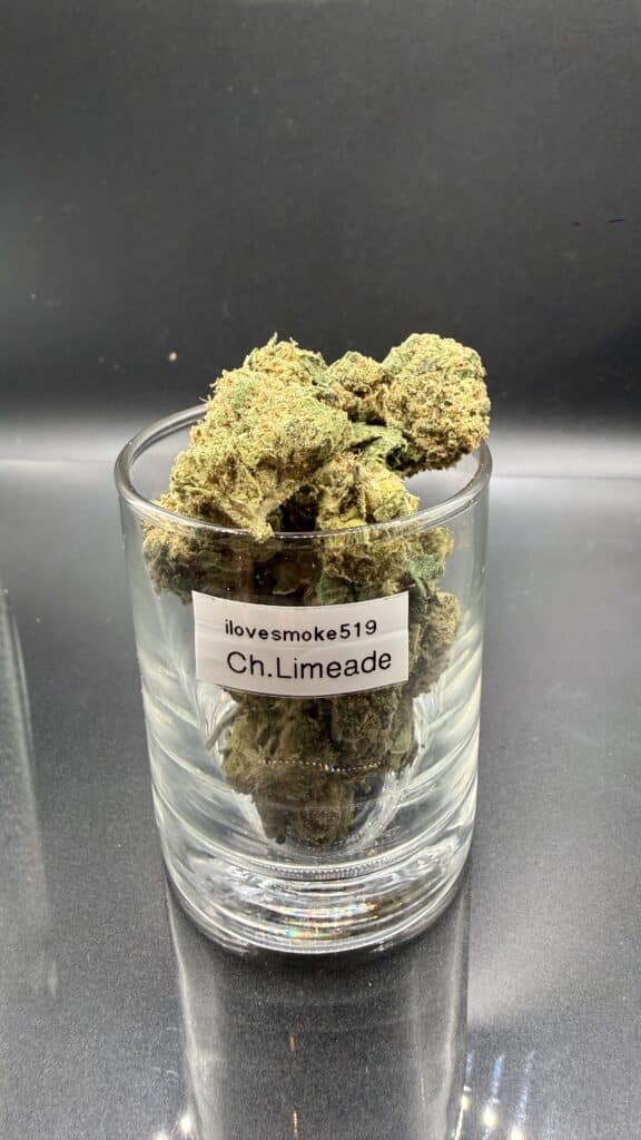 Cherry Limeade cannabis flower buds displayed with a hand-trimmed finish and natural structure.
