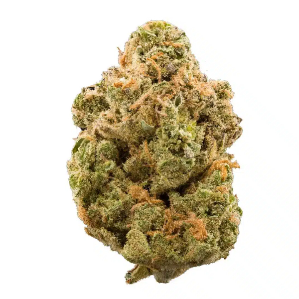 girl scout cookies (gh)