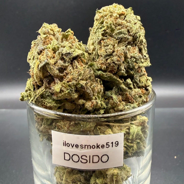 Do-Si-Dos cannabis flower buds with a hand-trimmed finish and defined structure.