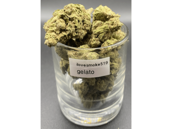 Gelato indica dominated hybrid dried cannabis flower buds