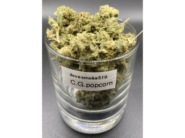 Lemon Cherry Gelato Popcorn indica dominant hybrid dried cannabis flower buds