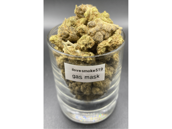 Gas Mask Popcorn indica dominant hybrid dried cannabis flower buds