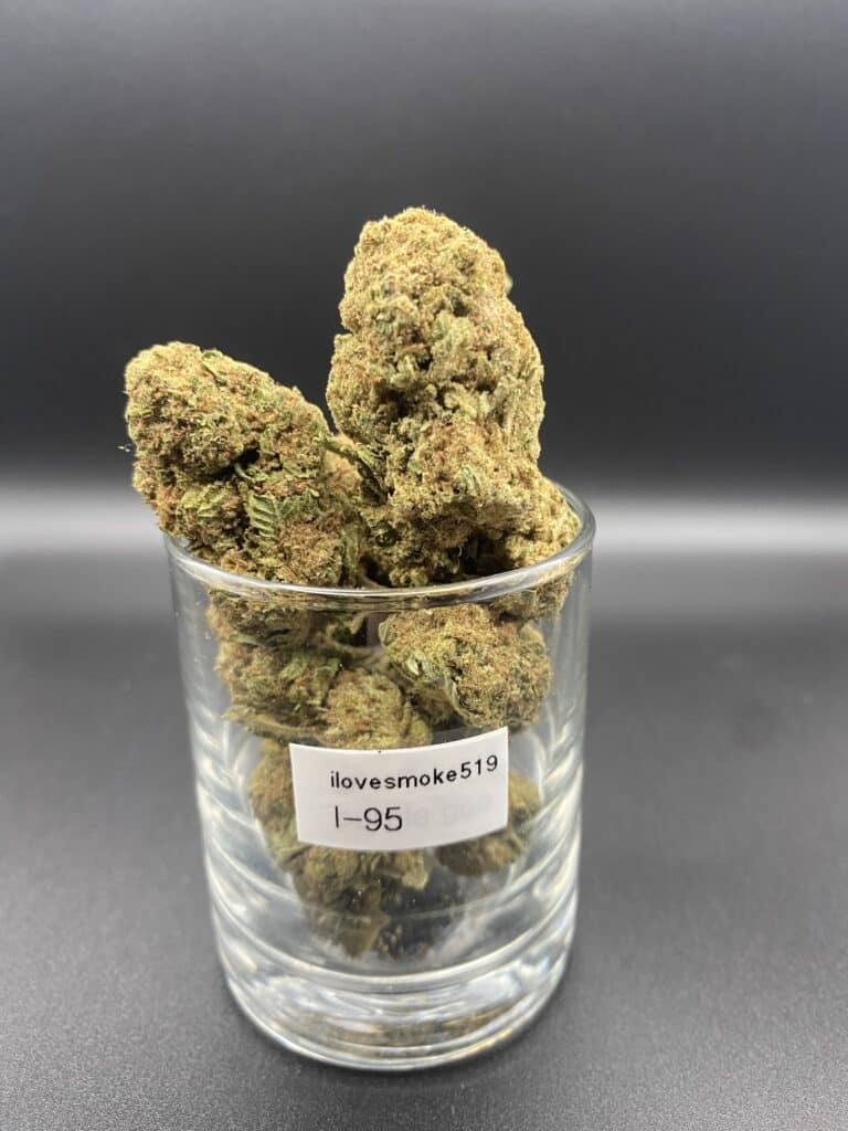 I-95 cannabis flower buds with a hand-trimmed finish and consistent structure.