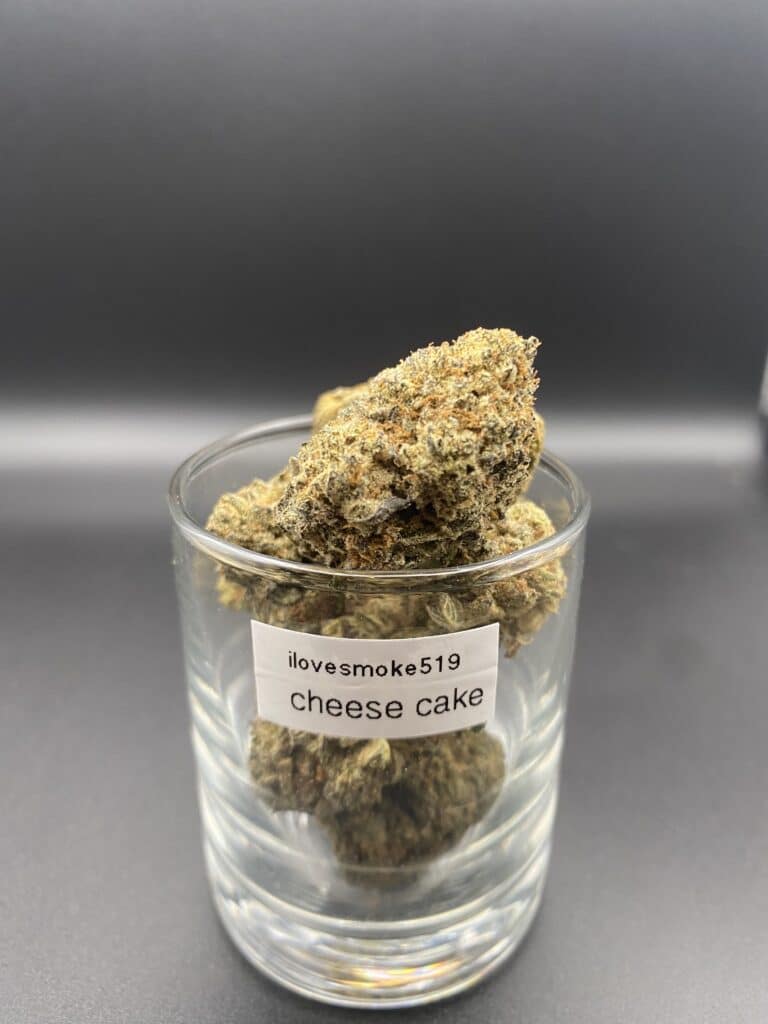 Cheese Cake cannabis flower buds with a hand-trimmed finish and compact structure.
