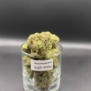 Kush Mint cannabis flower buds with a hand-trimmed finish and structured appearance.