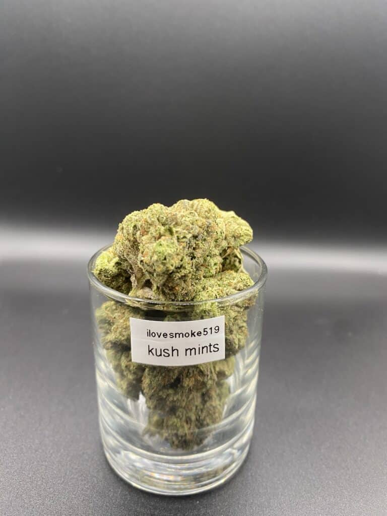 Kush Mint cannabis flower buds with a hand-trimmed finish and structured appearance.
