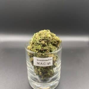 Miracle Alien Cookies GH cannabis flower buds with a hand-trimmed finish and defined structure.