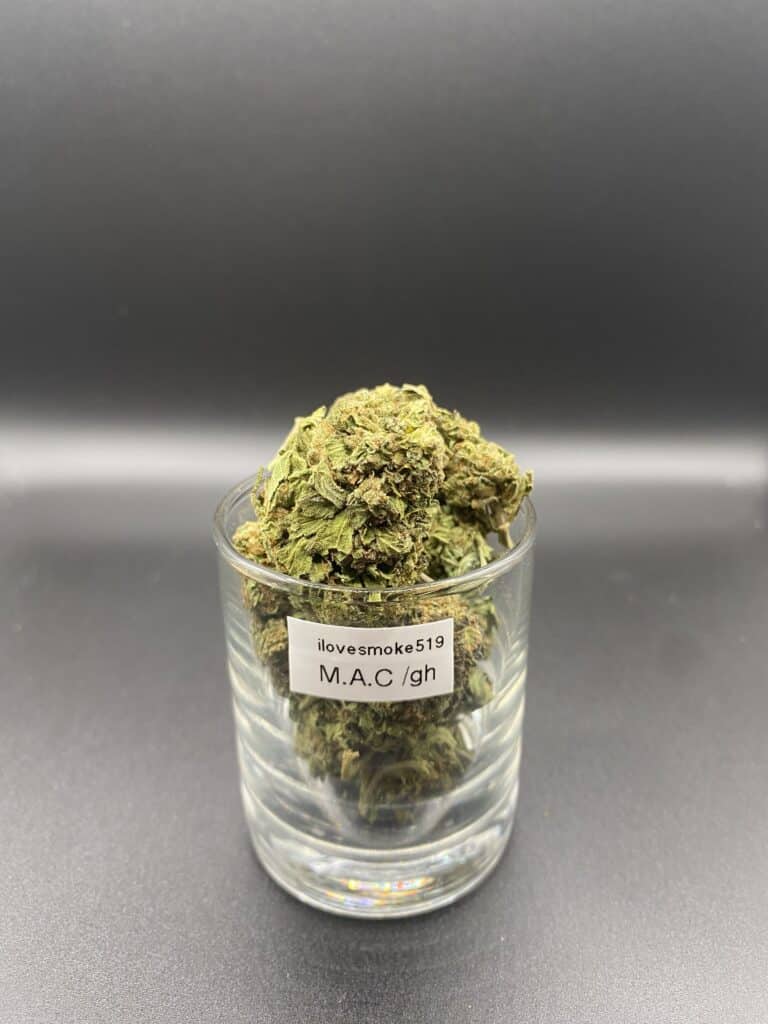 Miracle Alien Cookies GH cannabis flower buds with a hand-trimmed finish and defined structure.