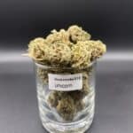 Unicorn Poop cannabis flower buds with a hand-trimmed finish and compact structure.
