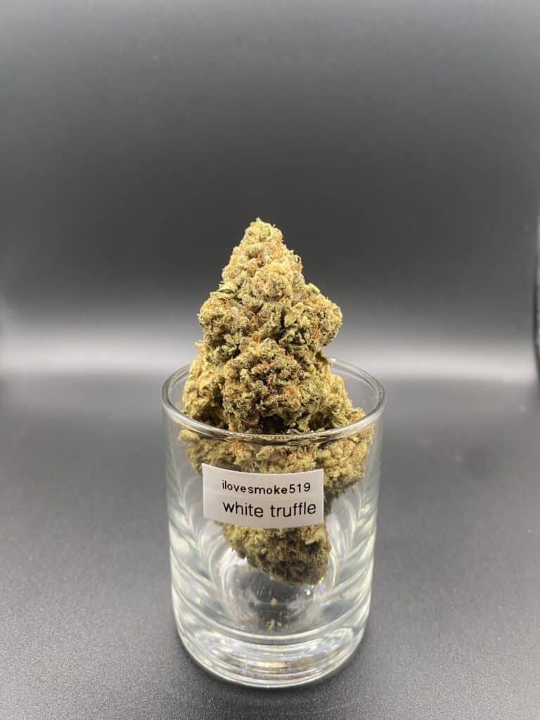 White Truffle Indica-Dominant Hybrid Cannabis Strain