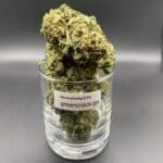 Green Crack GH Sativa-Dominant Hybrid Cannabis Strain