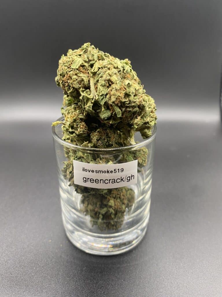 Green Crack GH Sativa-Dominant Hybrid Cannabis Strain