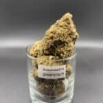Green Crack 4A Sativa-Dominant Hybrid Cannabis Strain
