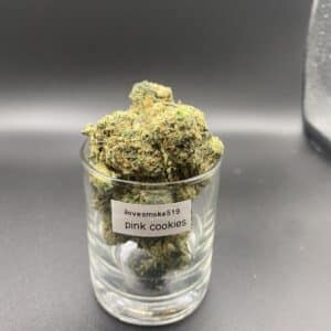 Pink Cookies Balanced Hybrid Cannabis Strain