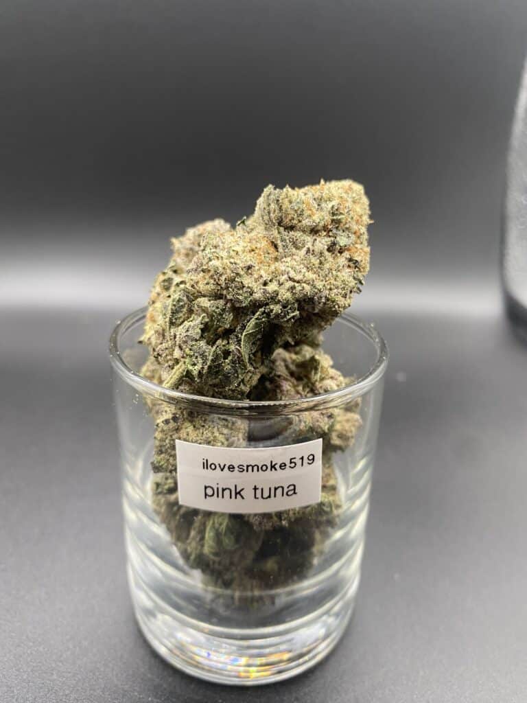 Pink Tuna Indica-Dominant Hybrid Cannabis Strain