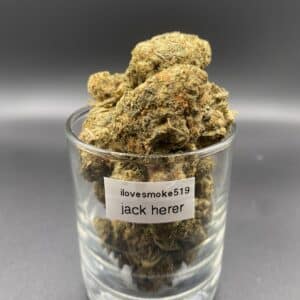 Jack Herer Sativa-Dominant Hybrid Cannabis Strain