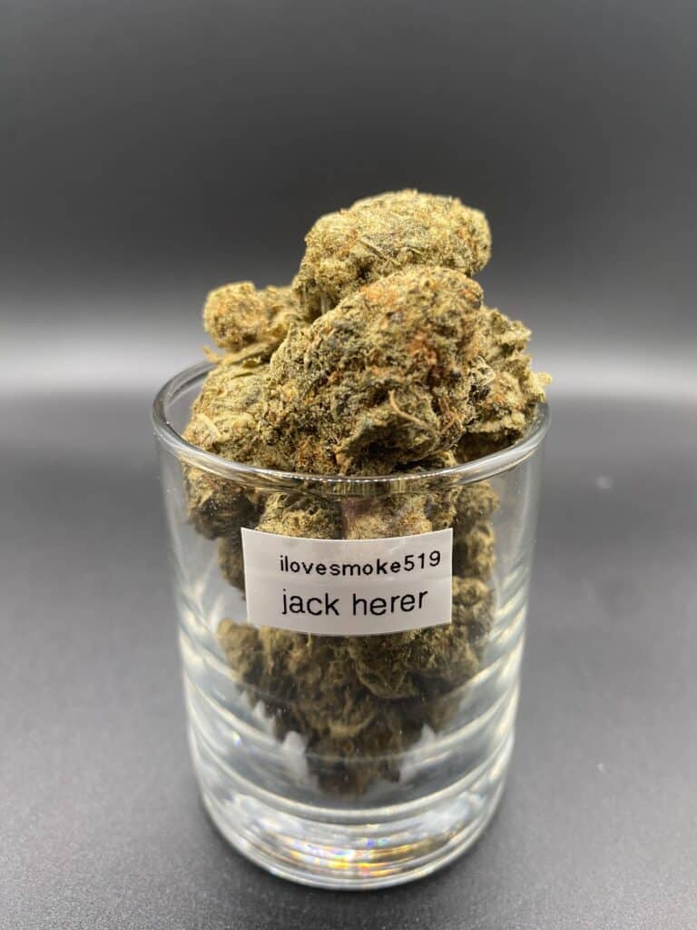 Jack Herer Sativa-Dominant Hybrid Cannabis Strain