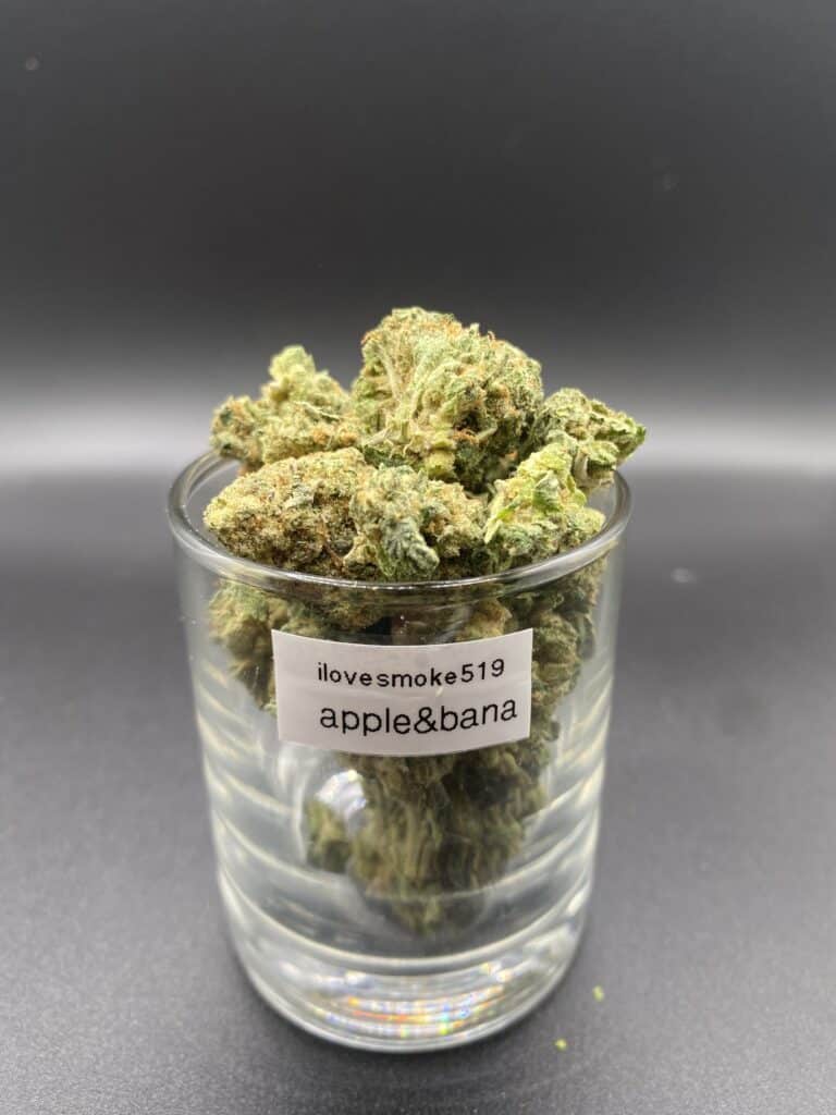 Apple and Banana Balanced Hybrid Cannabis Flower
