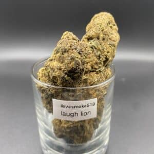 Laughing Lion Indica-Dominant Hybrid Cannabis Flower