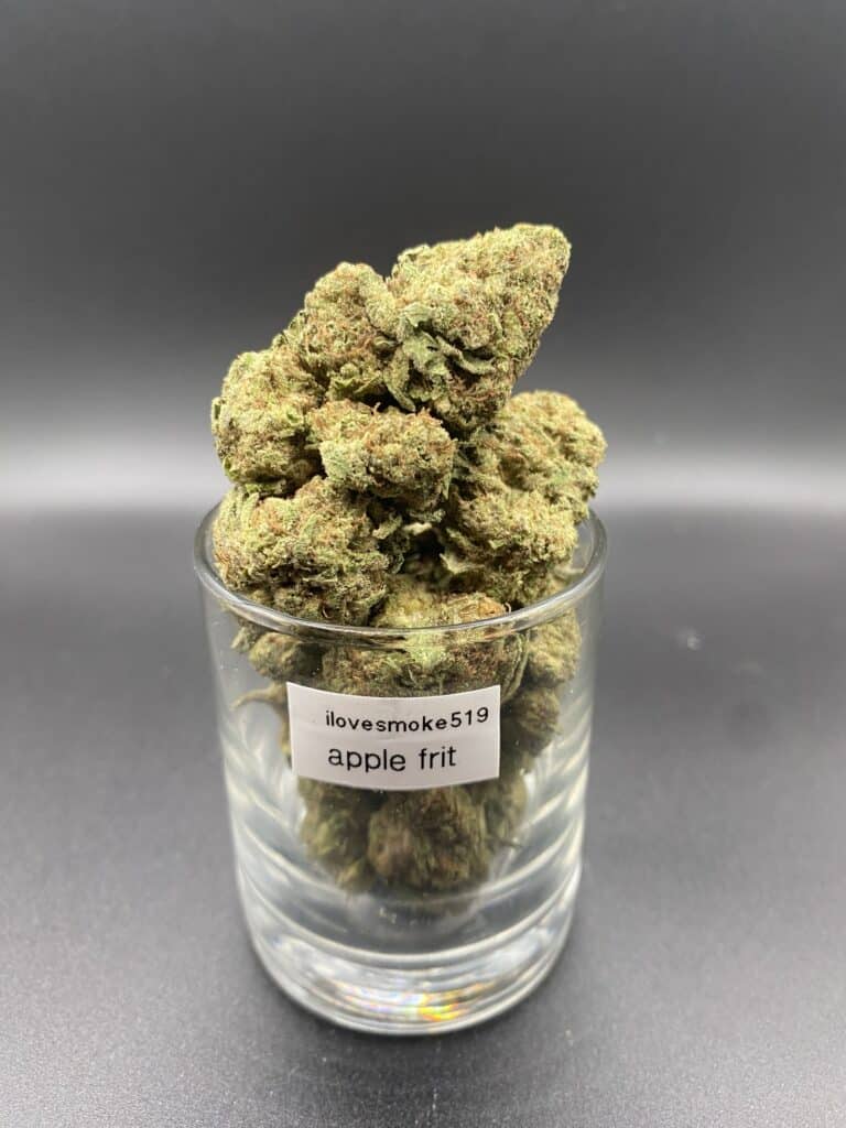 Apple Fritter Balanced Hybrid Dried Cannabis Flower