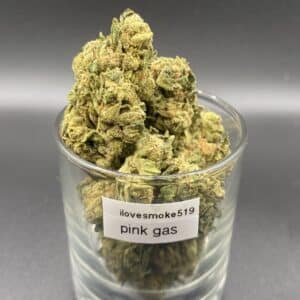 Pink Gas indica dominant hybrid dried cannabis flower buds