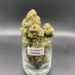 Chimera balanced hybrid dried cannabis flower buds