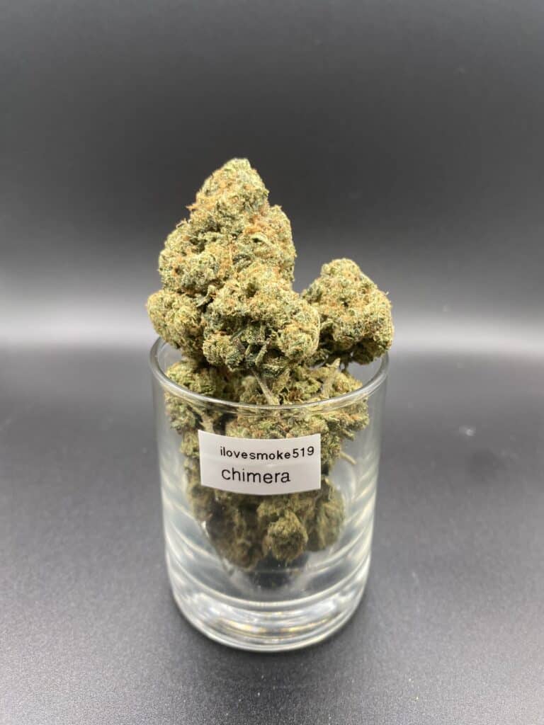 Chimera balanced hybrid dried cannabis flower buds