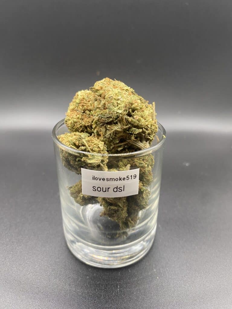 Sour Diesel sativa dominant hybrid dried cannabis flower buds