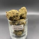 Blue Cheese AAA indica dried cannabis flower buds