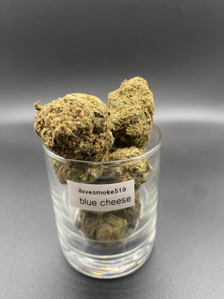 Blue Cheese AAA indica dried cannabis flower buds