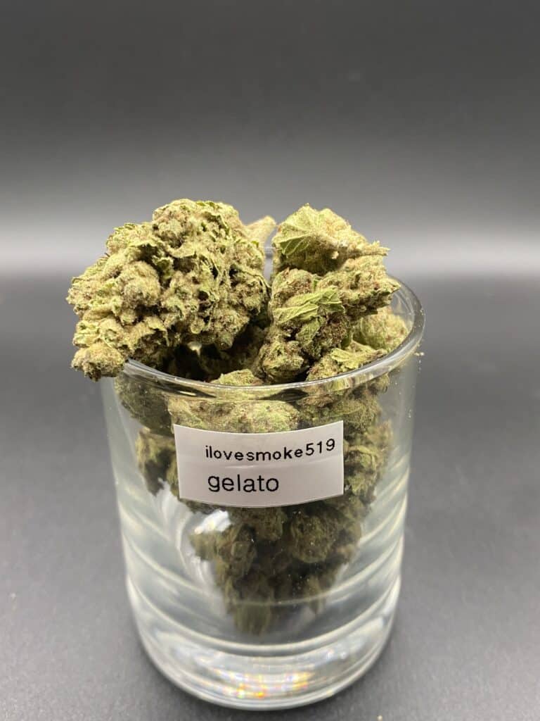 Gelato indica dominated hybrid dried cannabis flower buds