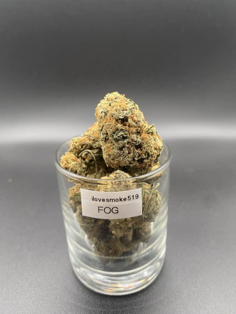FOG 4A sativa dominated hybrid dried cannabis flower buds