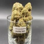 Punky Lion indica dried cannabis flower buds